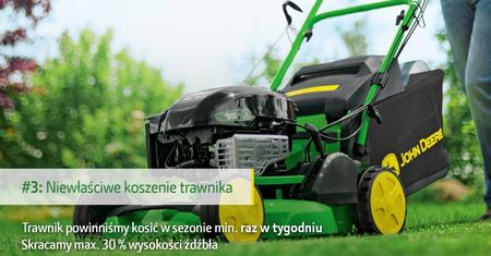 Kluczowe błędy w pielęgnacji ogrodu