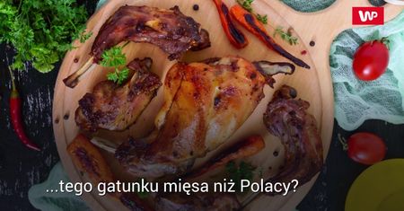Dlaczego warto jeść mięso z królika?