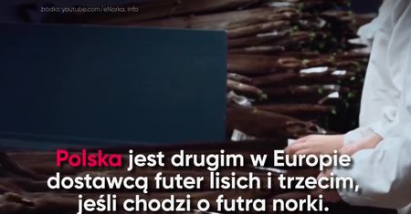 Przemysł futrzarski w Polsce