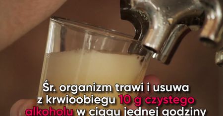 Piłeś? Zobacz, kiedy możesz wsiąść za kierownicę