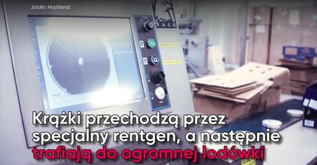 Jak powstają serki topione śmietankowe?