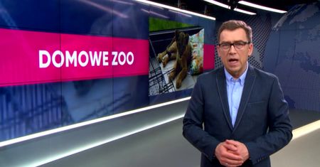 Mieszkaniec Rybnika hodował w domu tygrysy i krokodyle
