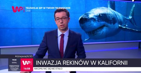 Popłoch na plażach w Kalifornii