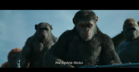 ''Wojna o planetę małp'' - polski zwiastun