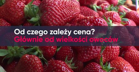 Kosmiczne ceny truskawek. Już 26 zł