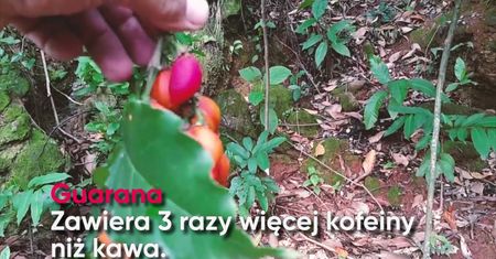 Zdrowsze zamienniki kawy