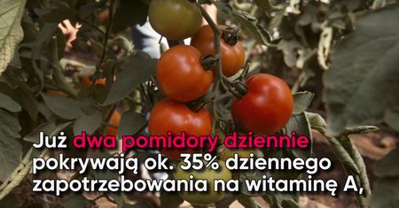Pomidory. Oto ich cudowne właściwości