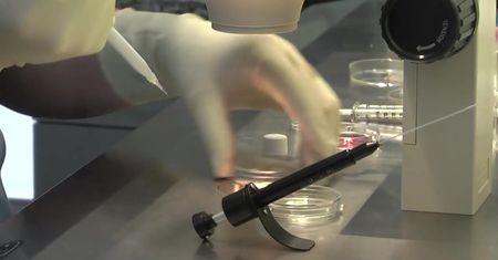 Zapłodnienie in vitro metodą IVF-IMSI-6600