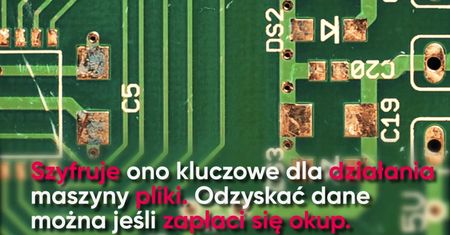 Hakerzy znów atakują