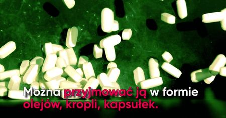 Marihuana. Leczniczy narkotyk