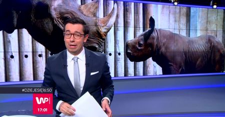 Mały nosorożec gwiazdą internetu