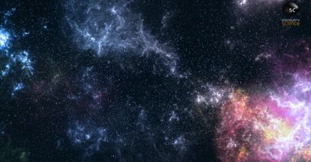 Geny ośmiornic nie pochodzą z Ziemi