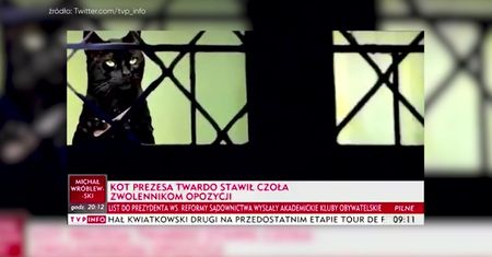 Kot prezesa kontra demonstranci. Tak TVP Info opisuje protesty