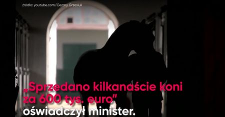 Jak minister Jurgiel konie liczył