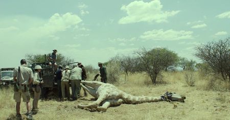 "Safari" - polski zwiastun nowego filmu Ulricha Seidla