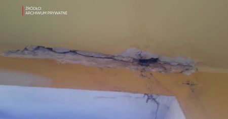 PLK remontują most kilka metrów od domu pani Niny. "Tynk sypie się na głowę"