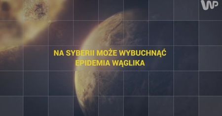 Na Syberii może wybuchnąć epidemia wąglika [Pixel]