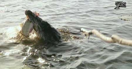 Bear Grylls na Ziemi Arnhema. Pokonał rzekę pełną krokodyli [Szkoła przetrwania]