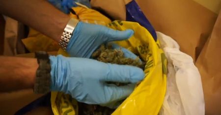 Policjanci zabezpieczyli 2 kilogramy marihuany o wartości 60 tys.