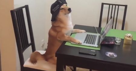 Psy też umieją w "Mannequin Challenge"