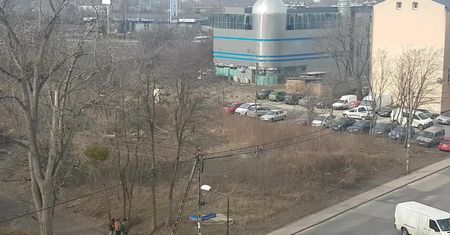 Wycinka drzew w Warszawie