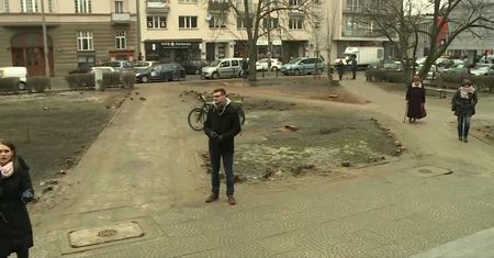 Perkowski: w Warszawie trwa rzeź zieleni