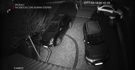 Błyskawiczna akcja złodziei. W 30 sekund ukradli Audi