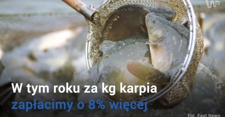 Indeks karpia. Znowu stać nas na mniej