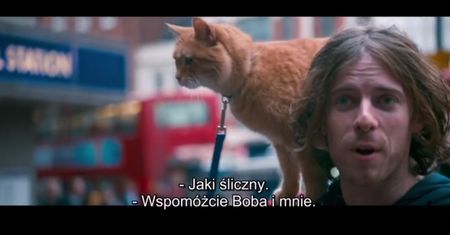 Kot Bob i Ja (2016)