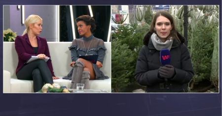 Choinka  z marketu - dlaczego nie warto jej kupować
