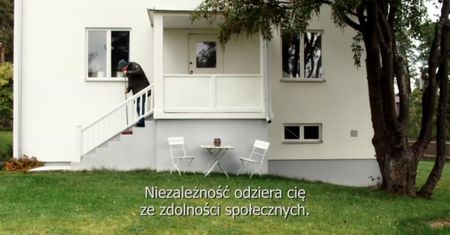 Szwedzka teorii miłości (2015)