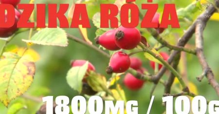 Powiedz "nie" przeziębieniu! Oto produkty, które zawierają najwięcej witaminy C