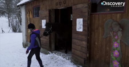 Żonie drwala uciekł pies. Oto problemy dnia codziennego dziewczyny z Bieszczad [Przystanek Bieszczady]