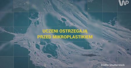 Uczeni ostrzegają przed mikroplastikiem [Pixel]