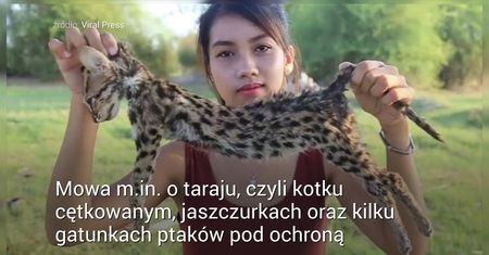 Nagrywali jak zjadają chronione gatunki zwierząt. Trafili do aresztu