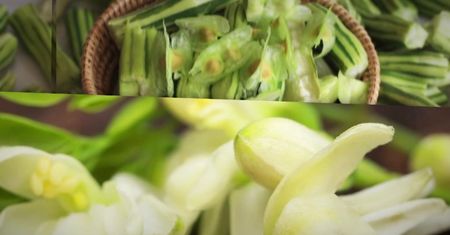 Moringa - bomba witaminowa