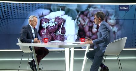 Jakość polskich truskawek jest bardzo wysoka. Są bezpieczne, zdrowe i aromatyczne
