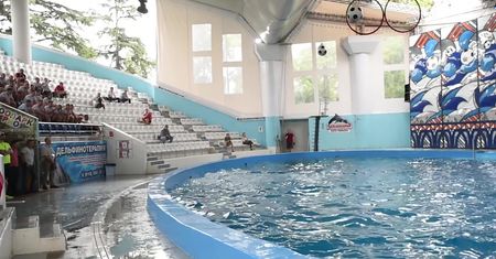 Polska reprezentacja wizualizuje sobie zwycięstwo w towarzystwie delfinów