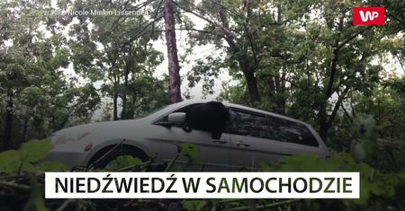 Zawsze zamykaj drzwi od samochodu. Oto dlaczego