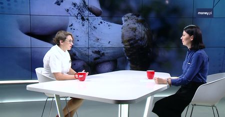 Uwaga na zbieranie grzybów u naszych sąsiadów. Może być drogo