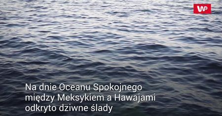 Tajemnicze ślady na dnie oceanu