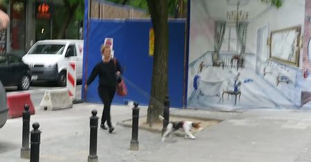 Zborowska z suczką Wiesią walczą o uwagę paparazzi