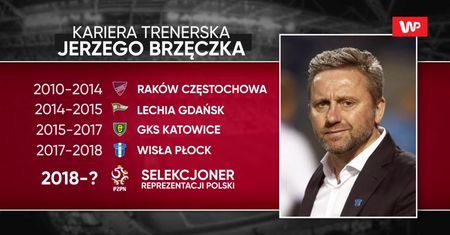 Eksperci o nominacji Jerzego Brzęczka na selekcjonera. "Ma jeden wielki walor"