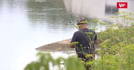 Ludzie na własną rękę zaczynają szukać pytona. Musiała interweniować policja