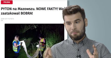 Pyton tygrysi terroryzuje mieszkańców Mazowsza. Kieruje się na wschód