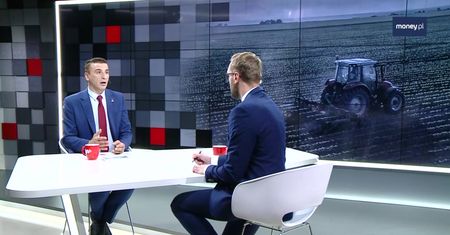 Epidemia ASF. "Pozbyć się wszystkich dzików, one wszystkie zdechną i tak"