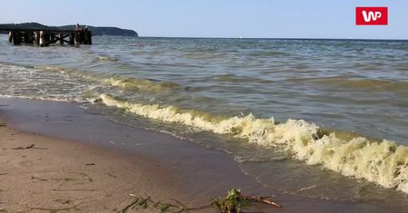 Sinice w Bałtyku. Plaże w Trójmieście zamknięte