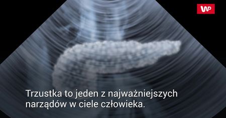Produkty, które niszczą trzustkę