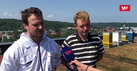 Miejski miód. Tak wyglądają pasieki na dachu gdańskiego biurowca