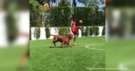 #dziejesiewsporcie: Messi przedryblował... psa